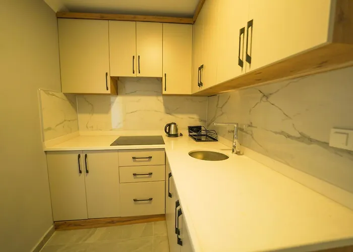 Han Apart Hotel Side 公寓式酒店 锡德